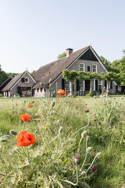 De Rheezer Kamer Hardenberg Exterior foto